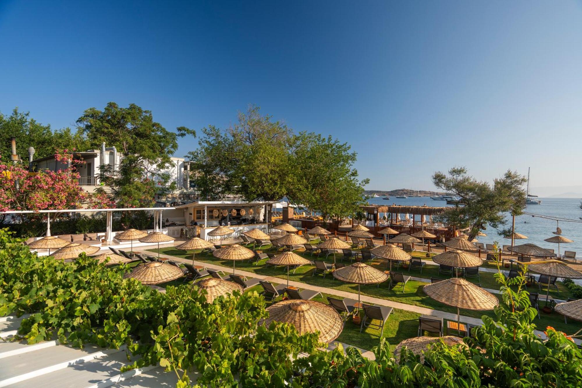 גולטורקבוקו Daphnis Hotel מראה חיצוני תמונה